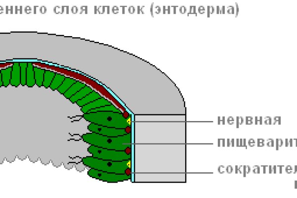 Ссылка на кракен в тор